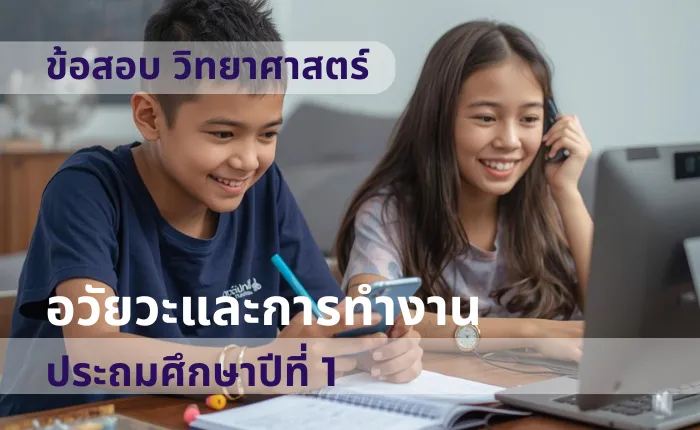 ข้อสอบ วิทยาศาสตร์ ป.1 อวัยวะและการทำงาน (มากกว่า 100 ข้อ)