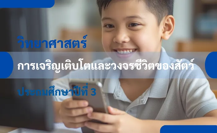 วิทยาศาสตร์ ป.3: การเจริญเติบโตและวงจรชีวิตของสัตว์