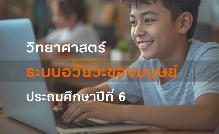 วิทยาศาสตร์ ป.6: ระบบอวัยวะของมนุษย์