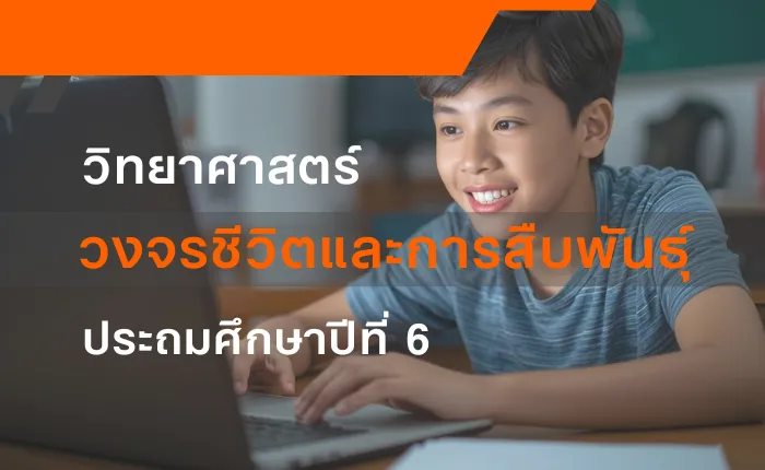 วิทยาศาสตร์ ป.6: วงจรชีวิตและการสืบพันธุ์