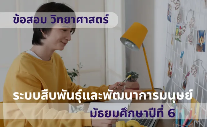 ข้อสอบ วิทยาศาสตร์ ม.6 ระบบสืบพันธุ์และพัฒนาการมนุษย์ (มากกว่า 100 ข้อ)